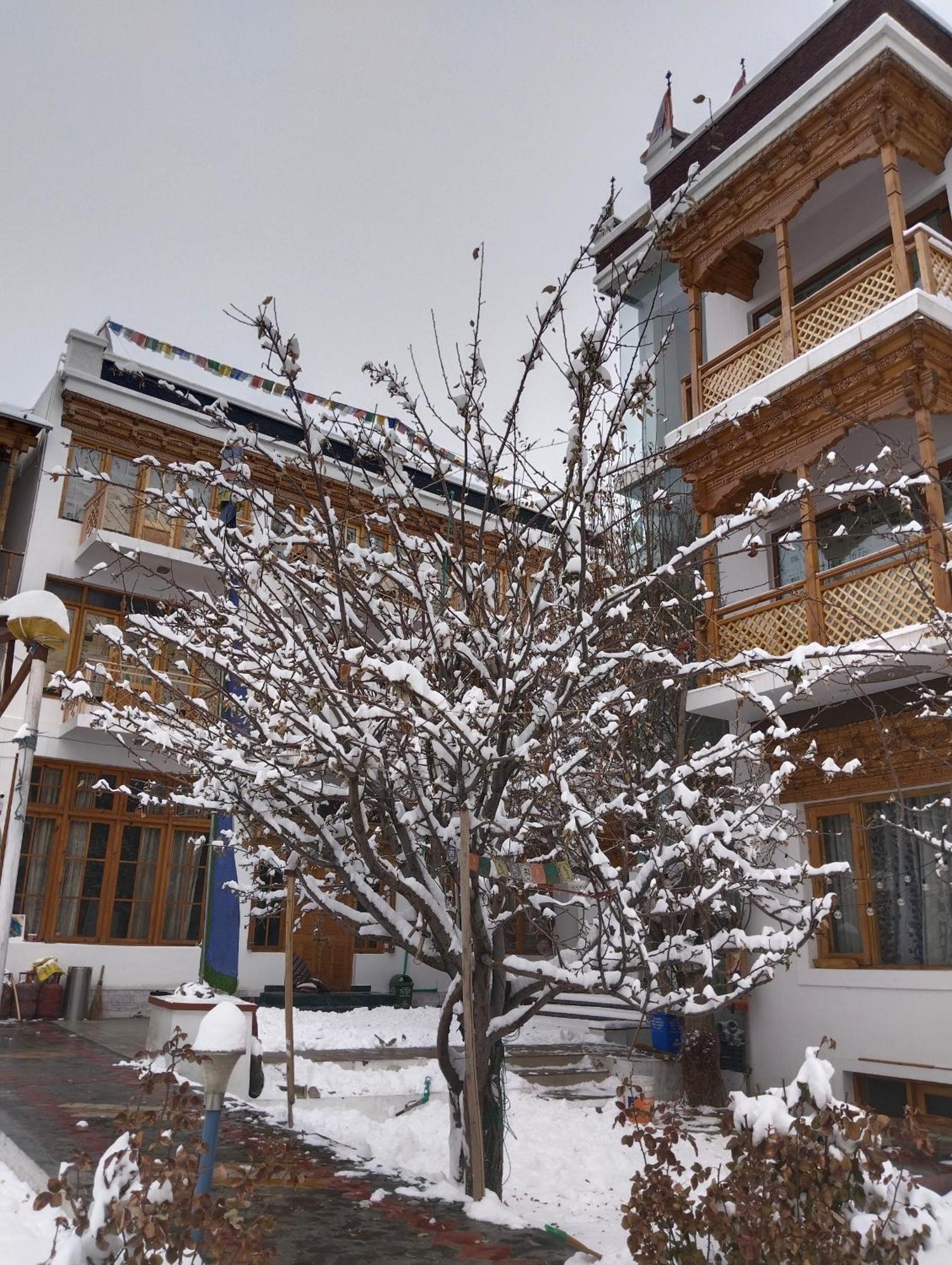 Hotel Jigmet, Leh Kültér fotó